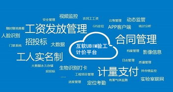 上?；ヂ摼W軟件集團 高端協同管理軟件與企業管理咨詢服務提供商
